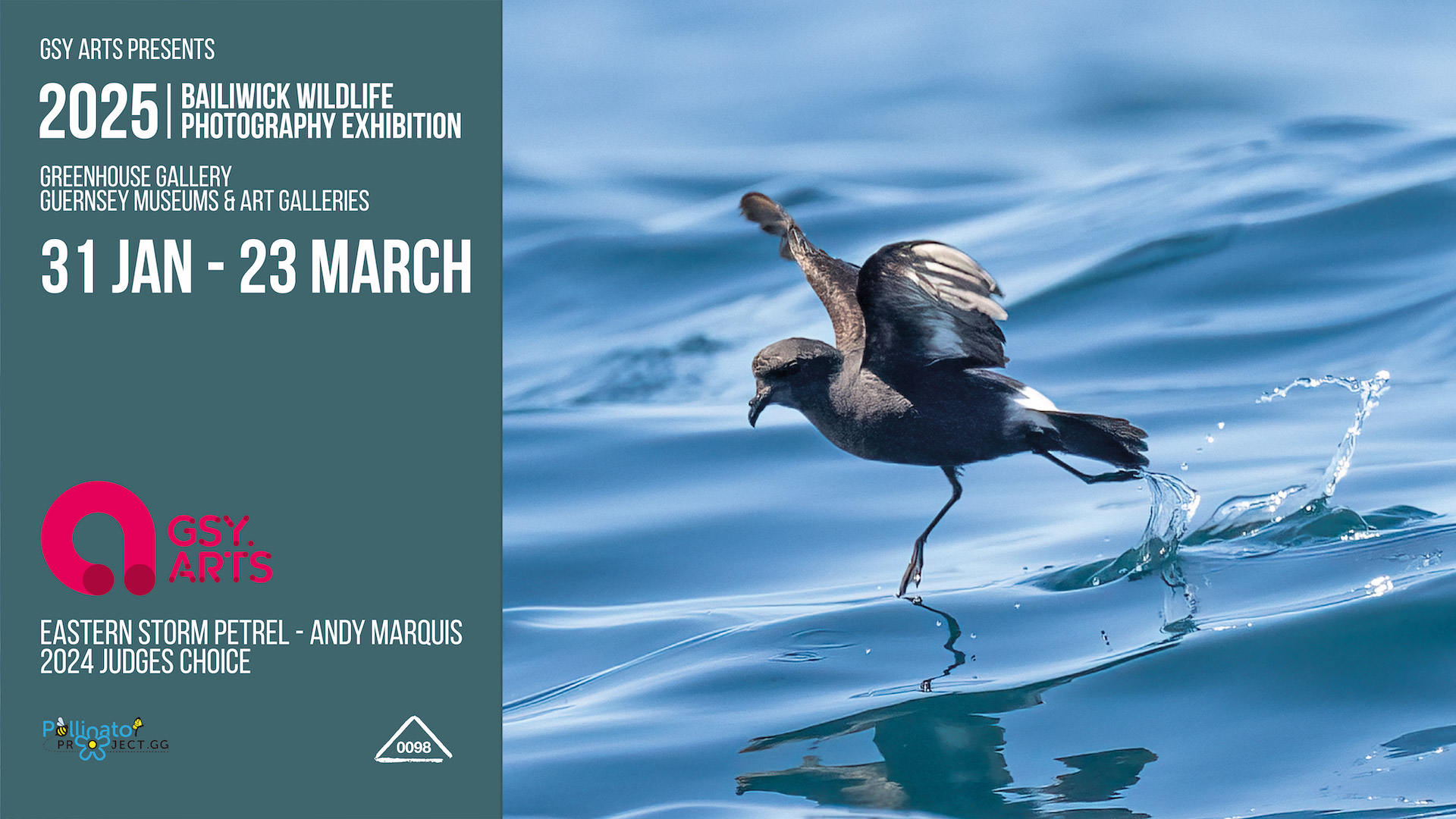 Submissions Open! 2025 Bailiwick Wildlife Photography Exhibition