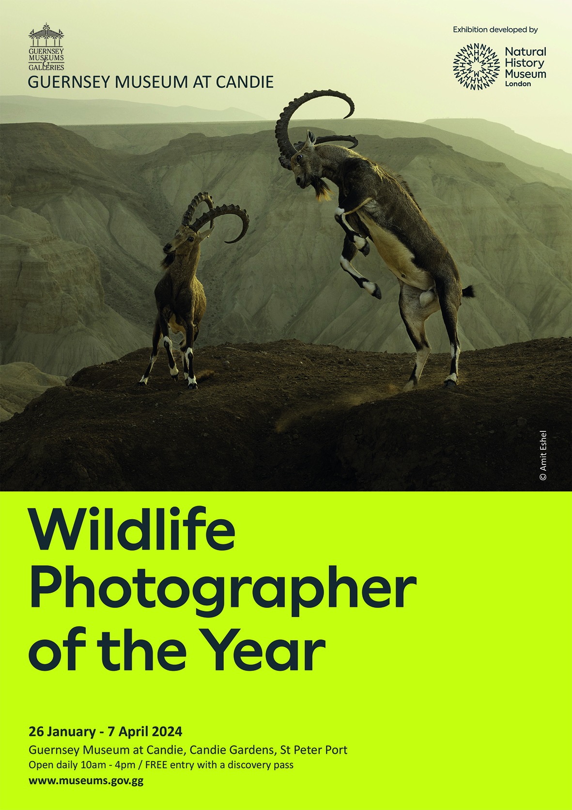 Wildlife Photographer of the Year Exhibition 2024 Guernsey Arts