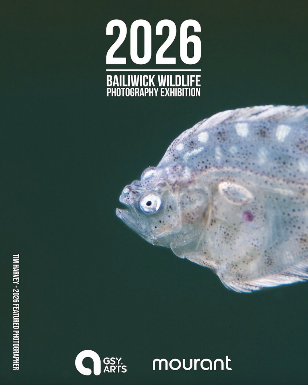 Poster for Bailiwick Wildlife Photography Exhibition 2026: Submissions open!