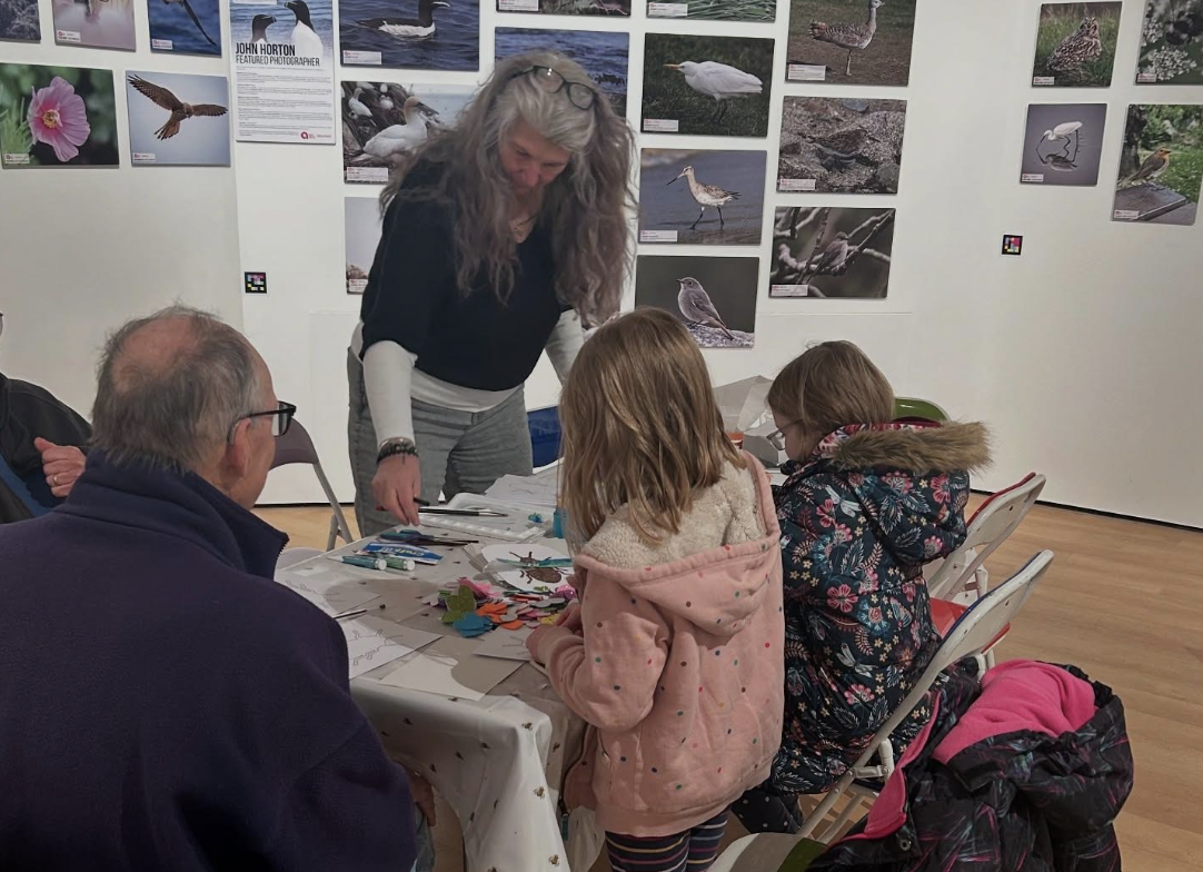 Wildlife Workshops this half term!